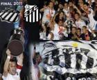 Copa 2011 şampiyonu Santos FC Libertadores